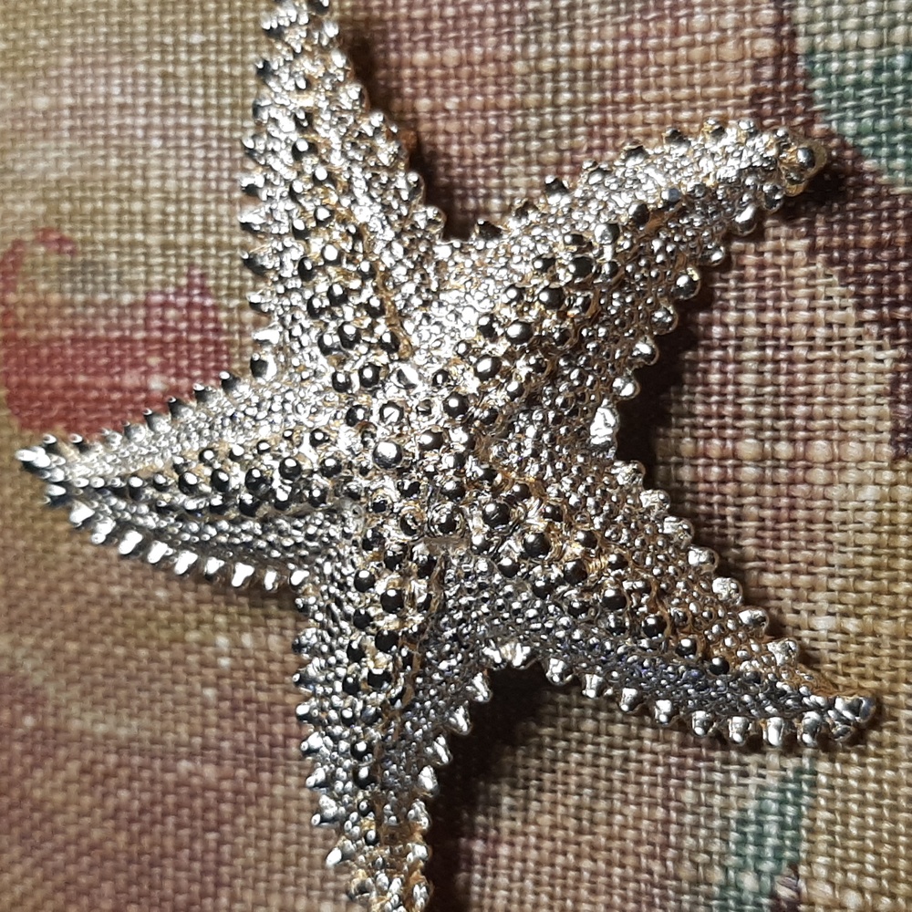 Starfish Brooch